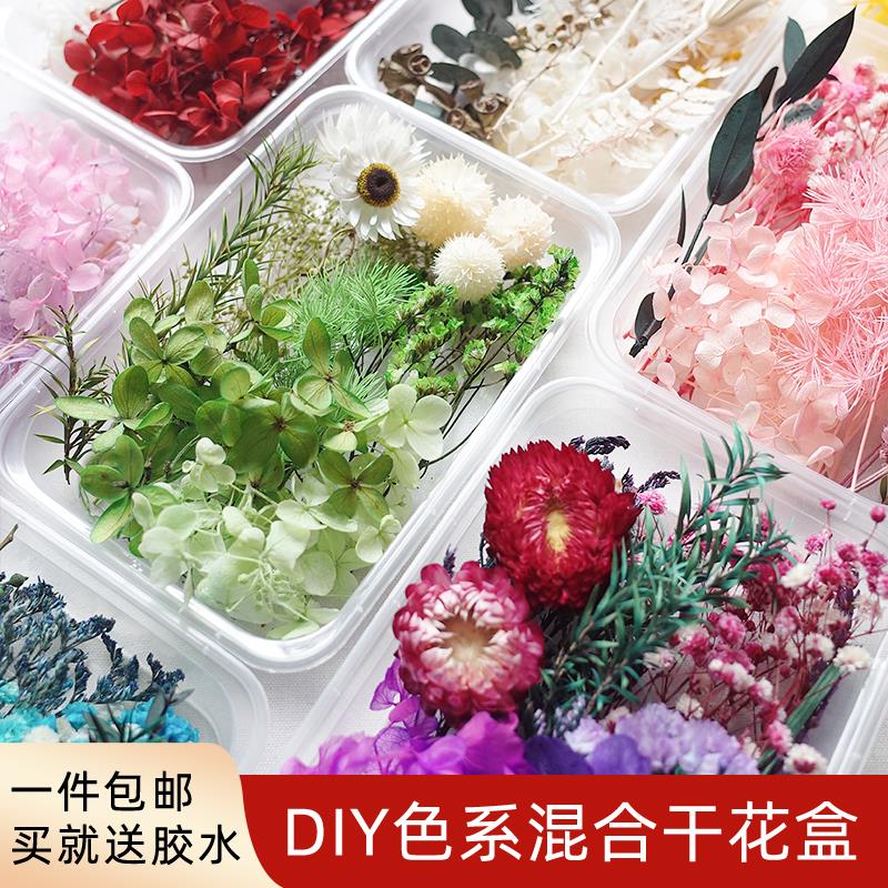 混装花盒混合干花DIY花材包满天星永生花真花风干活动手工材料包
