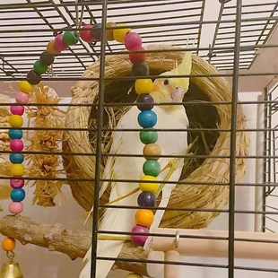 草编鹦鹉鸟窝芦丁鸡专用窝繁殖窝珍珠文鸟玄凤虎皮牡丹保暖鸟巢