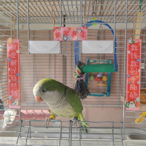 鹦鹉创意卡通玩偶可爱春节过年春联对联鸟笼布置亚克力双面挂件