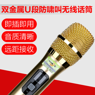 万能无线一拖二会议专用演出话筒麦克风户外唱歌通用对频带接收器