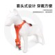 狗狗牵引绳背心式 可调节遛狗绳小型犬泰迪比熊胸背带宠物溜狗链子