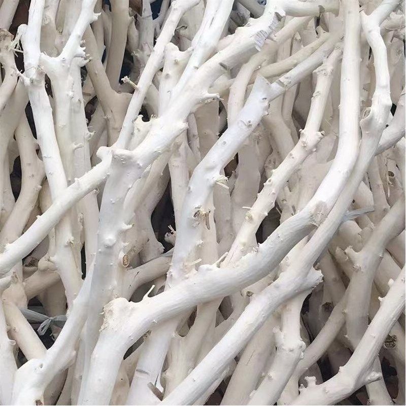 干树枝原木杈干燥树枝枯枝枯木树干鸟架造型壁挂衣架悬吊式天花板