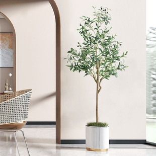 大型仿真绿植橄榄树假室内橱窗商场落地造景装饰盆景