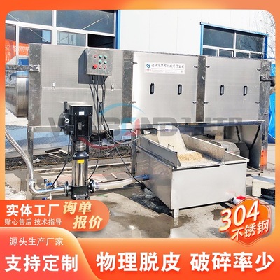 核桃仁脱衣清洗机 核桃制品加工机器 商用大型不锈钢核桃仁去皮机