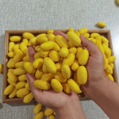 diy蚕丝扇配饰可抽丝蚕茧团扇diy材料包扇子装饰配件包手工作业