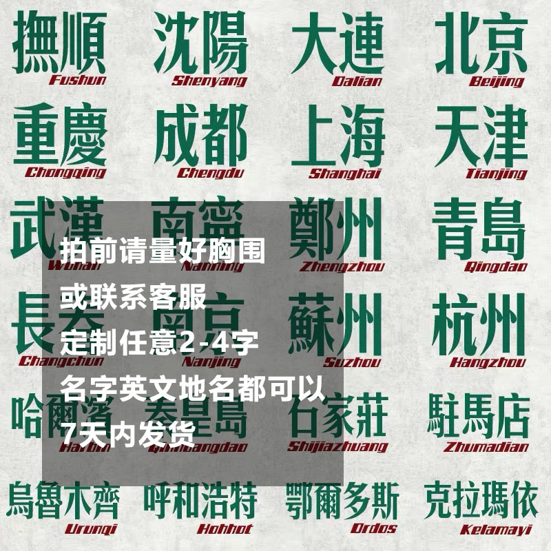 定制地名 宠物大狗柯基卫衣金毛背心萨摩猫边牧吉娃娃泰迪薄衣服