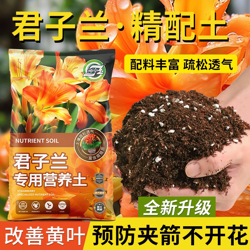 君子兰专用土营养土兰科植物通用花土家用花卉君子兰专用种植土壤