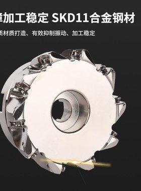 BLMP0904 内冷刀盘 出水 双面 快进给刀盘  仿形加工开粗面铣刀盘