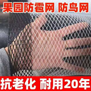 网厂家直销防冰雹防雹网经久用果园防网神果树防器鸟网耐ECY防护