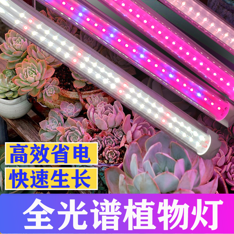 全光谱led植物生长灯led绿植补光灯T直管多肉上色灯红蓝光植物灯