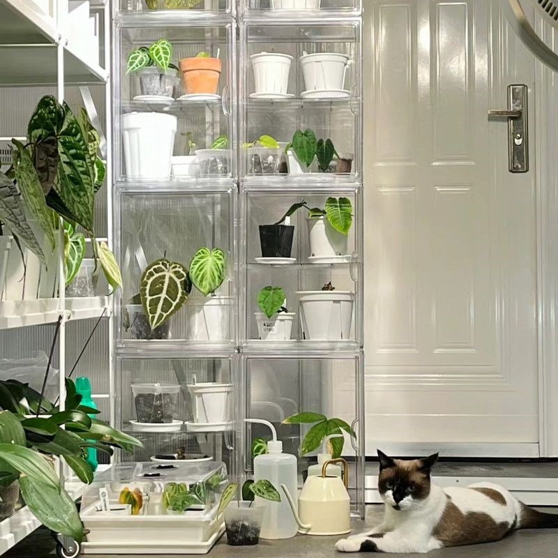 植物闷养箱热带植物保温箱家庭小温室暖棚阳台花房育苗箱保湿防雨