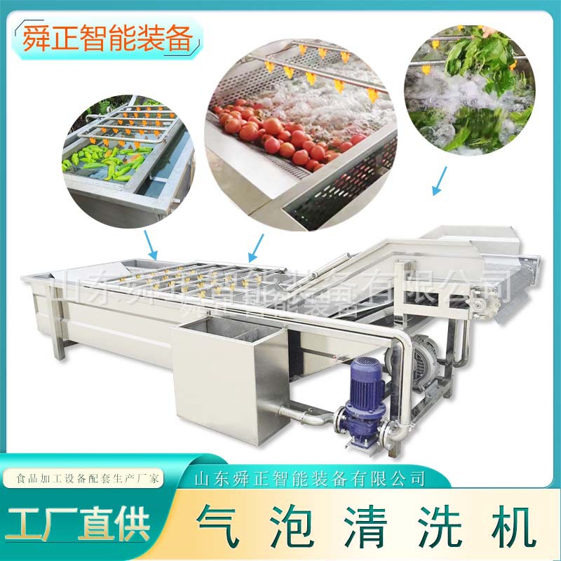 蔬菜鼓泡翻浪清洗设备 洗菜洗果机 水循环喷淋式果蔬气泡清洗机