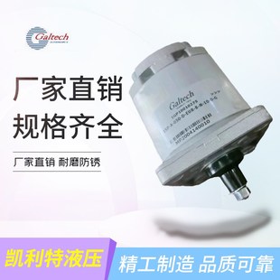 050 1SM 063 098 高泰克齿轮泵1SM 078