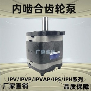 100 VOITH高压油泵 171 101 125 福伊特齿轮泵IPVAP4