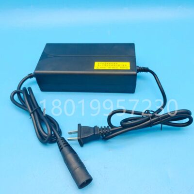 诺力电动叉车PTE15-C搬运托盘车DZL48V-3A充电器充电机DZL48200