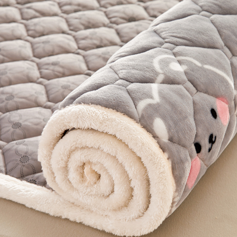 珊瑚绒床垫软垫家用冬季夹棉厚款床单D2023新款防滑垫被法兰绒床