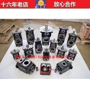 1R00 1R02 DENISON丹尼逊叶片泵T6E T6E 1R01 1R03 066 062