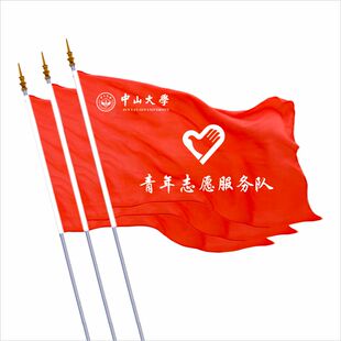志愿者旗帜服务队旗定制旗子青年党员突击队队旗党支部旗团队红旗