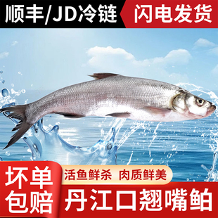 湖北丹江口翘嘴鱼淡水鱼新鲜大白刁子鱼白丝鱼翘嘴鲌白鱼整条送礼