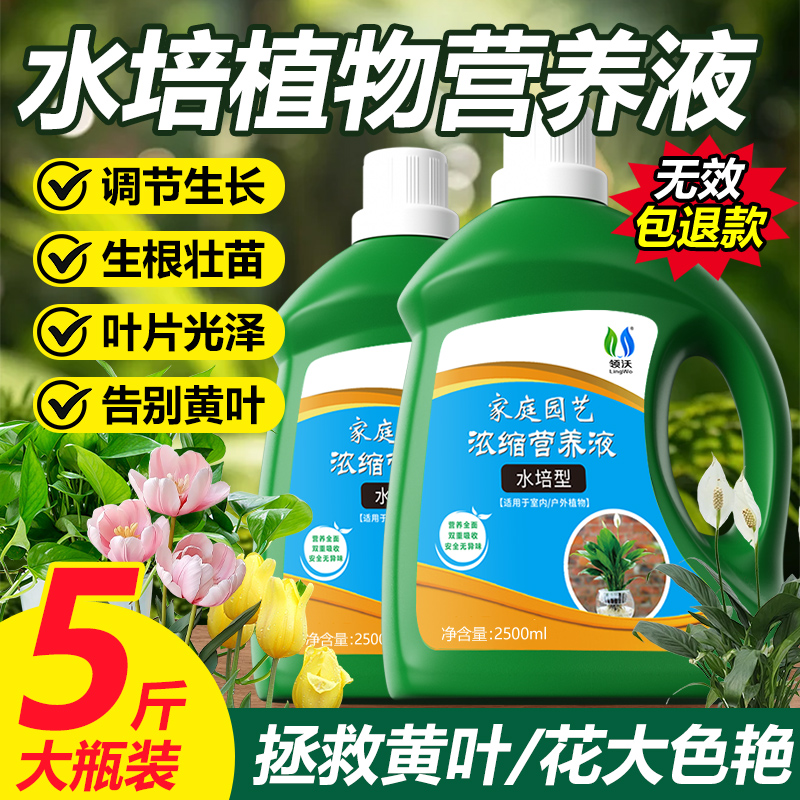 水培植物营养液室内盆栽绿植绿萝富贵竹发财树多肉花卉通用型肥料
