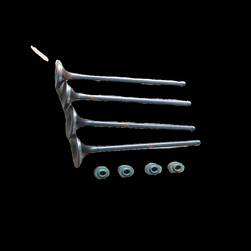 越野摩托车鑫源X2X2X银钢250六天AX1四气门发动机专用气门/油封件