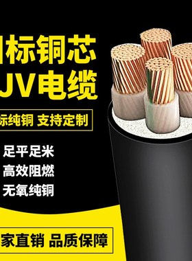 绿林ZJ铜芯电缆线  芯  2  平方电力电缆