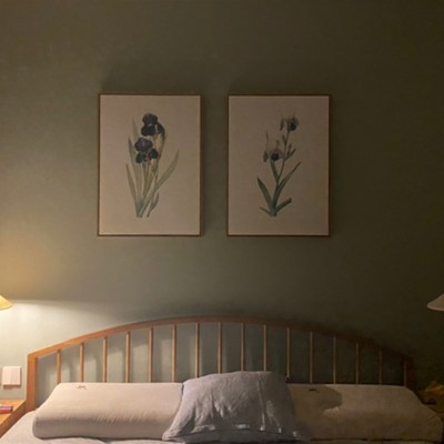 雷杜德手绘卉图谱 旁白艺术印画装饰画 兰鸢尾图鉴复古