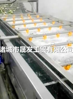 晟发海蔬厂家定制白菜清洗机晟发 果油菜气清洗机 气泡解泡冻机
