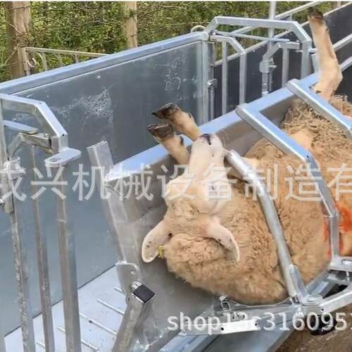 翻羊 DIF旋 剪羊毛神接器 修蹄 防转疫 可连围栏 适用于各种羊器