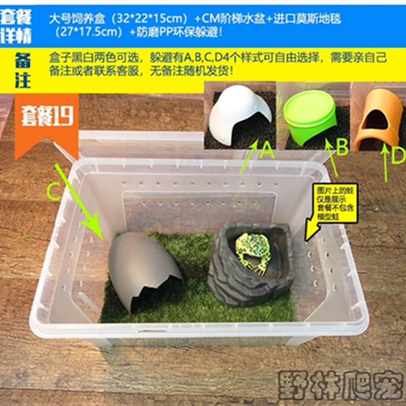 爬宠角蛙宠物蛇饲养盒寄居蟹青蛙蜗牛饲养箱睫角豹纹守宫水乌龟缸