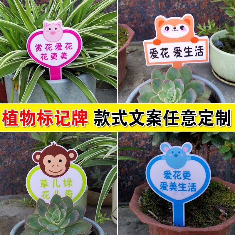 幼儿园花卉盆栽绿植标签标识牌多肉标签T型插牌园艺植物标签户外
