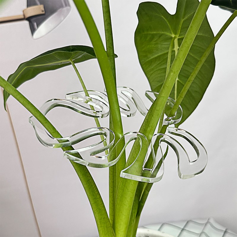 龟背竹支撑杆植物花架绿植防倒伏花卉支撑架春雨支架金钱树固定器