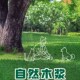 奶油熊舍nfufu白杨木刨花除臭无尘打洞挖掘木屑仓鼠金丝熊垫料