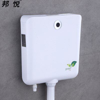 自动感应水箱大便冲水器明装节水带手动按钮蹲便坑池冲洗阀