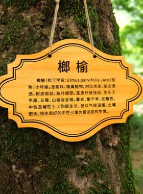 定制实木树牌挂牌树木认养牌园林绿化创意标识牌树名牌简介牌定做