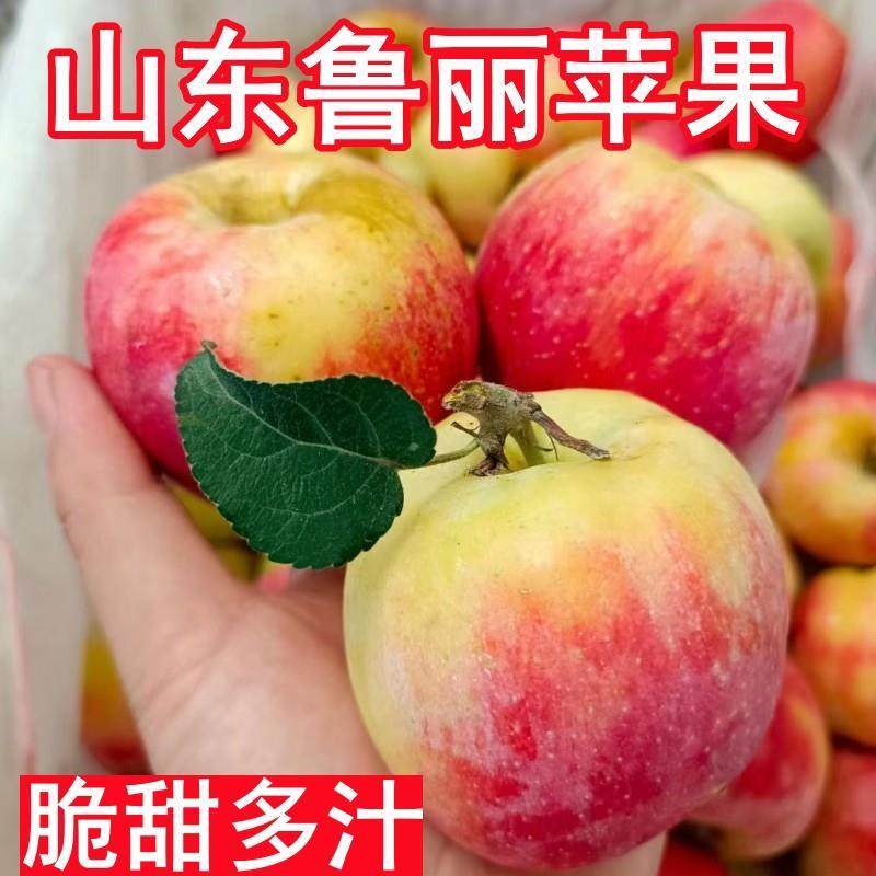 山东鲁丽苹果新鲜水果2025年新现摘现发脆甜多汁孕妇水果整箱包邮,水产肉类/新鲜蔬果/熟食,苹果,淘宝优惠券,粉丝福利购,淘宝优惠卷