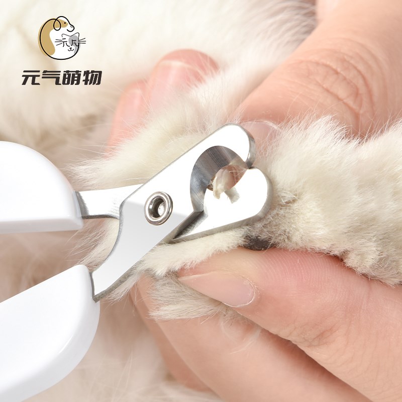 宠物指甲剪猫咪指甲剪圆孔猫剪指甲猫指甲刀狗指甲钳泰迪小狗剪刀