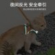 猫咪牵引绳胸背带防挣脱可爱魔术贴安全扣反光外出遛猫绳子可调节
