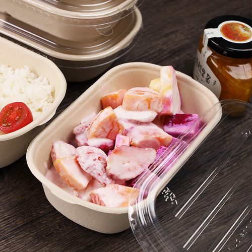 一次性环保可降解秸秆餐具纸浆餐盒沙拉健身餐外卖打包便当盒快餐