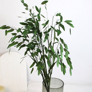 永生花小盼草干花花束真花天然高z级感轻奢风ins客厅酒店民宿软装