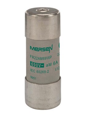 FR22AM50V63P FR22AM50V80P FR22AM50V100P FR22AM50V125P熔断器