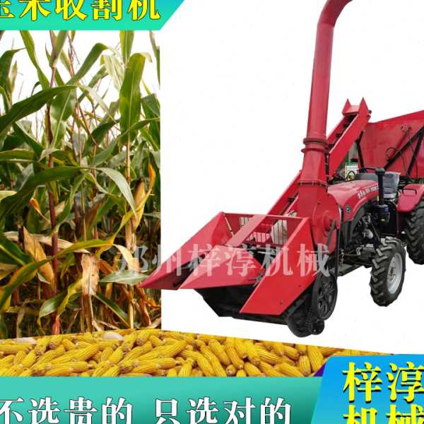 自走式玉米收获机收割机2行3行带剥皮小型青储收割两用带粉碎秸秆
