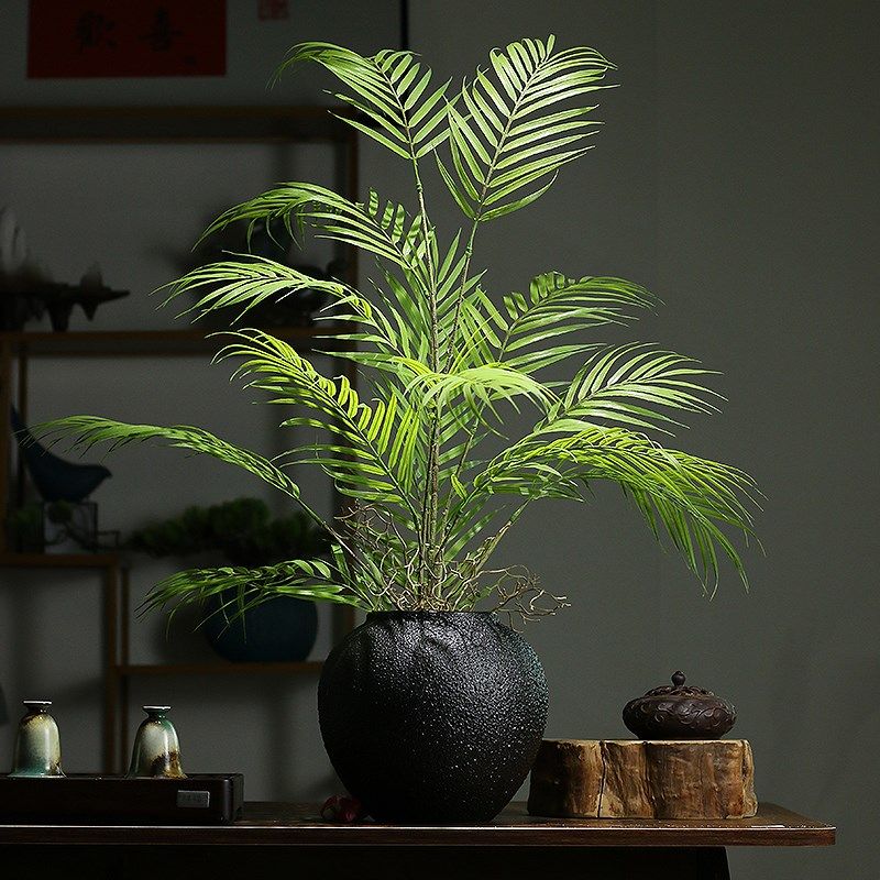 仿真绿植蕨类盆景酒店餐馆玄关桌面装饰品茶桌草客厅,家居饰品,仿真植物盆景,淘宝优惠券,粉丝福利购,淘宝优惠卷