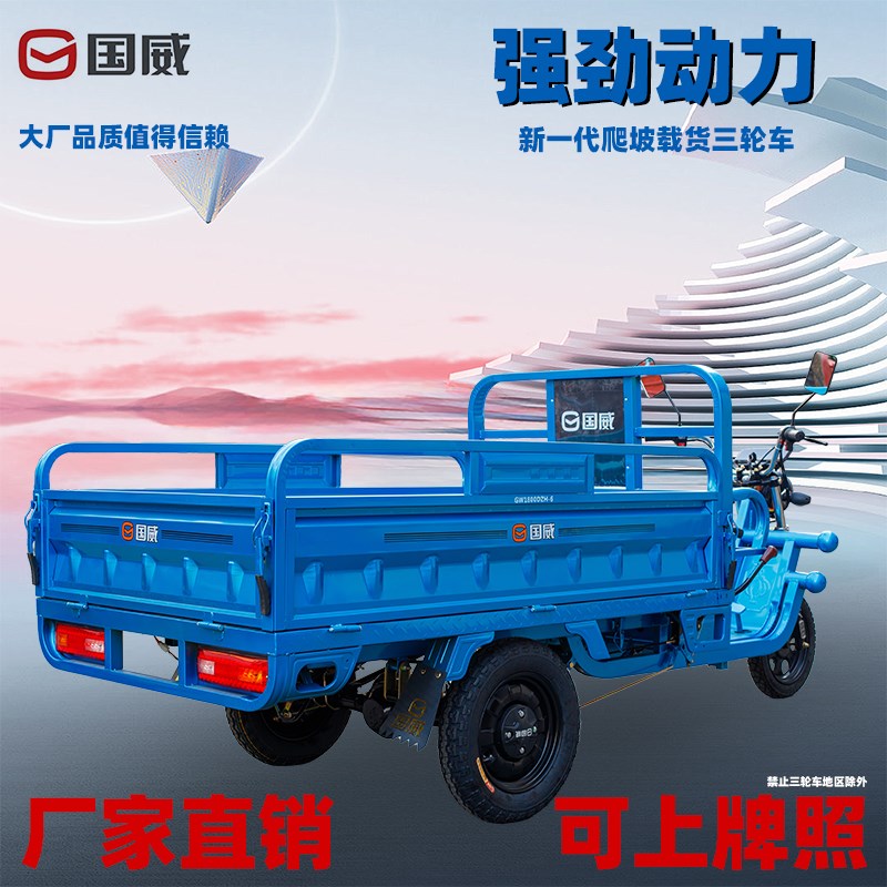 国威电动三轮车载重王拉货新款家用车拉货三轮车快递车农用车