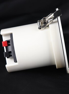 定压寸吸顶天喇叭店铺迷你端公共广播音响