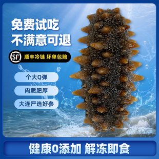 向阳渔港大连即食海参独立包装长辈孕妇滋补辽刺参中秋送礼礼盒