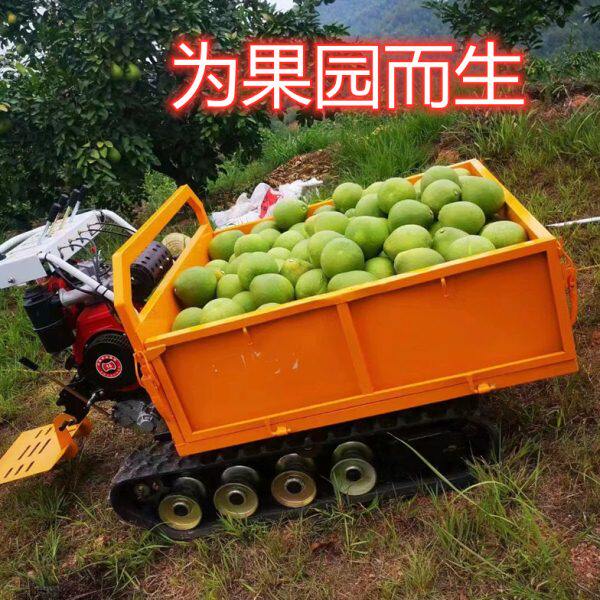 双斌小型履带运输车农用爬山虎全地形山地果园搬运车柴油四不像爬