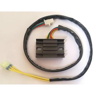 全新 CRM 250 CRM250 AR 整流器 充电器 充电硅 整流