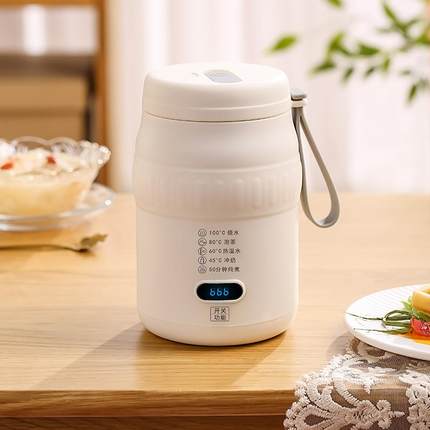 迷你养生壶家用多功能煮茶器办公室小型烧水杯电煮杯旅行户外便携