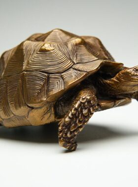 博物志 铁拳匠造 乌龟系列第五弹 青铜茶宠 苏卡达陆龟模型摆件